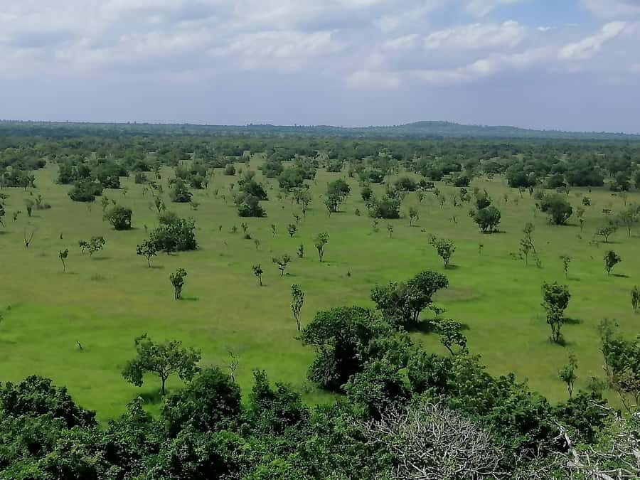 3 Days Elephant Safari at Mole Park with round trip flights - Flying Accra to Tamale: value, timing, and the rare travel snag