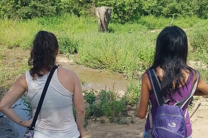 3 Days Elephants Safari at Mole Park with Round - trip flights - Key things I’d plan around