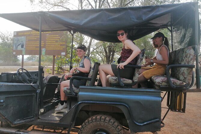 3 Days Elephants Safari at Mole Park with Round - trip flights - Day 3: Jeep drive safari and a Northern Region leather factory