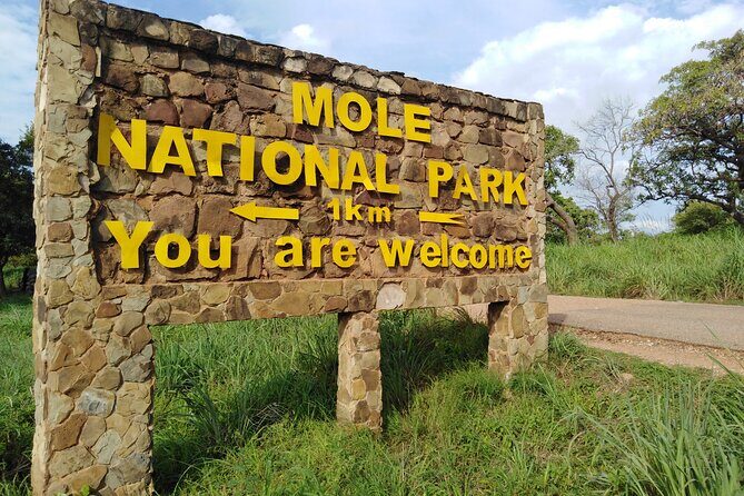 3 Days Elephants Safari at Mole Park with Round - trip flights - Day 1: Savannah lunch and Larabanga Mosque