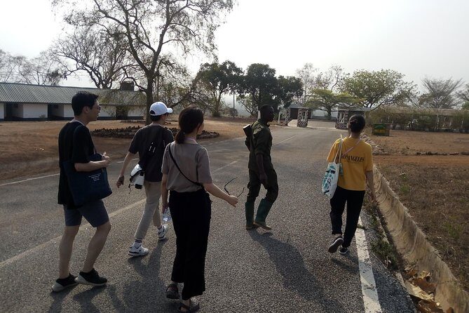 5 Days Adventurous Wildlife Safari - Day 2 at Mognori eco village: walking safari, canoe time, and Shea butter lessons