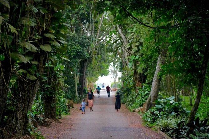 Aburi Botanic Gardens and Boti Falls Full-Day Private Tour - Aburi Botanic Gardens: A 1890 Garden That Still Feels Tranquil