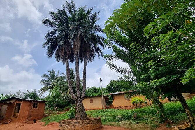 Aburi Botanic Gardens, Boti Falls,Umbrella Rock & Cocoa Farm Tour - Boti Falls: 250 steps to twin power and optional canoe time