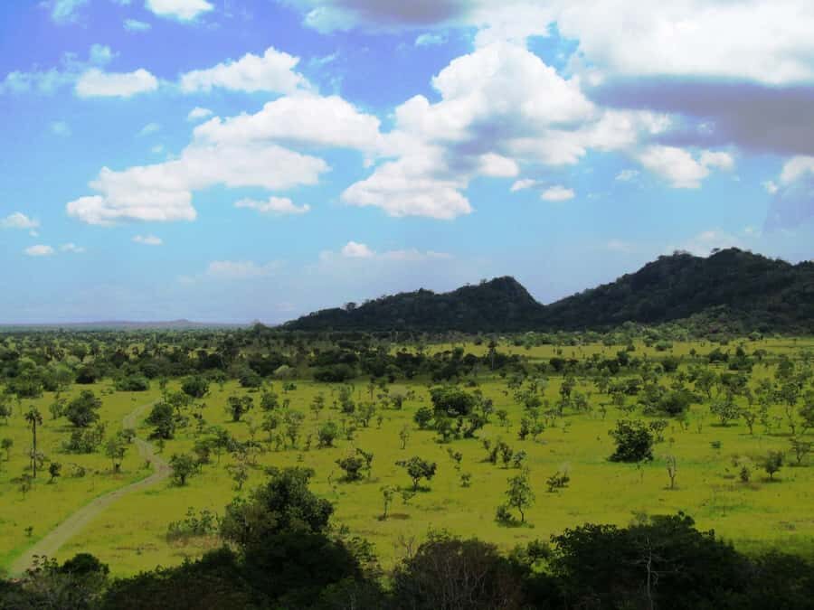 Discover Nature at Shai Hills - Adventure Full Day Trip - The Guided Tour Inside Shai Hills Resource Reserve (3 Hours)