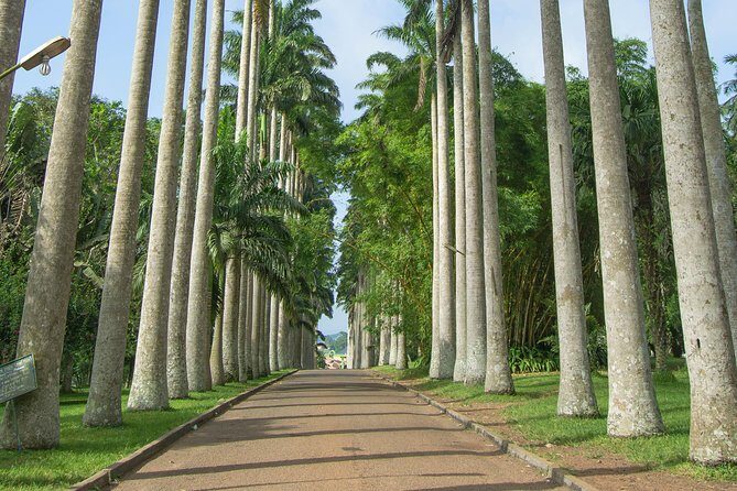 Escape Accra City to Aburi Gardens and Tetteh Quarshie Cocoa Farms - Getting Out of Accra: Why Aburi Fits a Half-Day Cocoa Mood