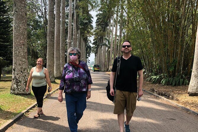 Experience Boti Waterfalls, Aburi Botanical Gardens & Tetteh Quarshie Cocoa Farm - Aburi Botanical Gardens: Plants, Medicinal Uses, and That Pine Tree Moment