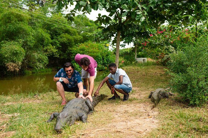 Experience Cape Coast Castle and Kakum National Park - Kakum National Park canopy bridges: walking above the treetops