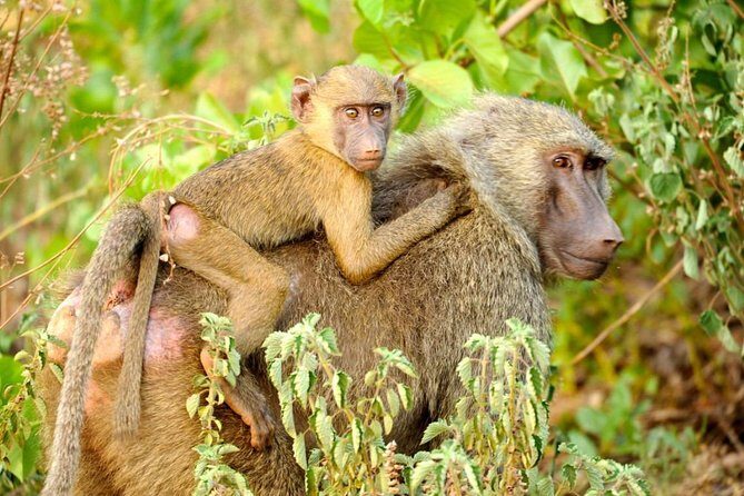Experience Northern Ghana In 10-Days - Key highlights that matter in real life