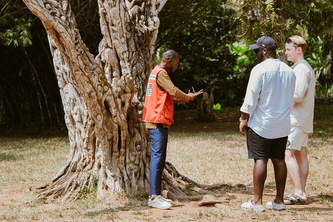 Explore Aburi Botanical Gardens And Boti Falls - Timing, Transport, and What the Long Day Really Means