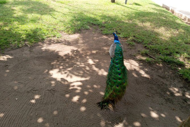Nature Thrills - A Nature Day Trip That Starts in the Botanical Gardens